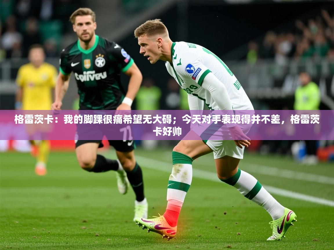 2025澳亚国际app格雷茨卡:我的脚踝很痛希望无大碍;今天对手表现得并不差,格雷茨卡好帅 第1张