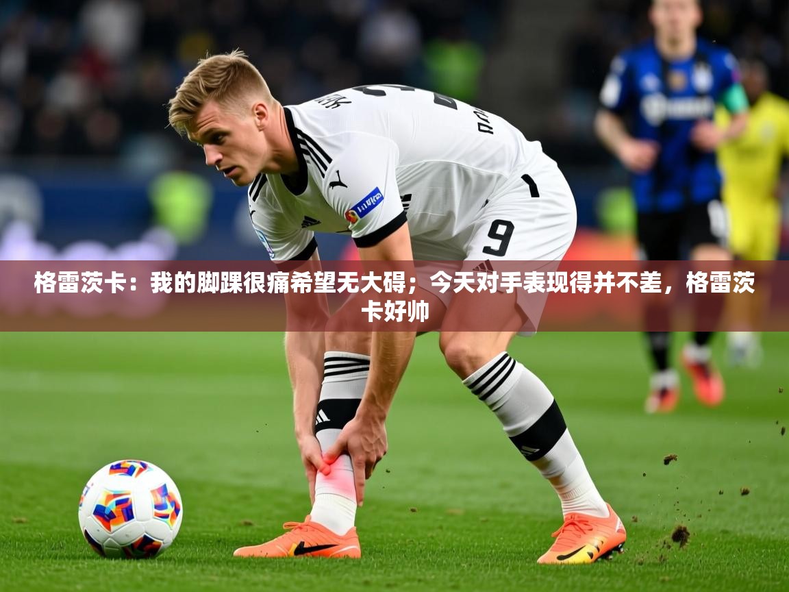 2025澳亚国际app格雷茨卡:我的脚踝很痛希望无大碍;今天对手表现得并不差,格雷茨卡好帅 第2张