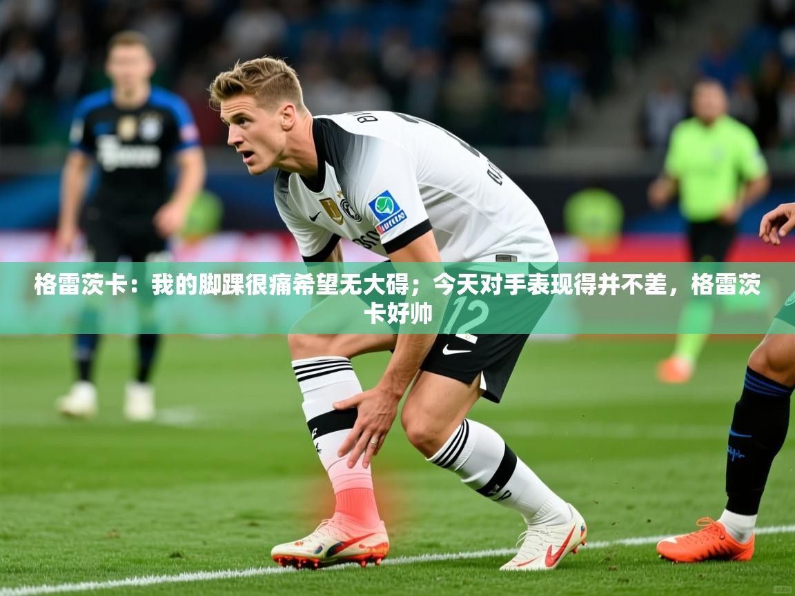 2025澳亚国际app格雷茨卡:我的脚踝很痛希望无大碍;今天对手表现得并不差,格雷茨卡好帅 第4张