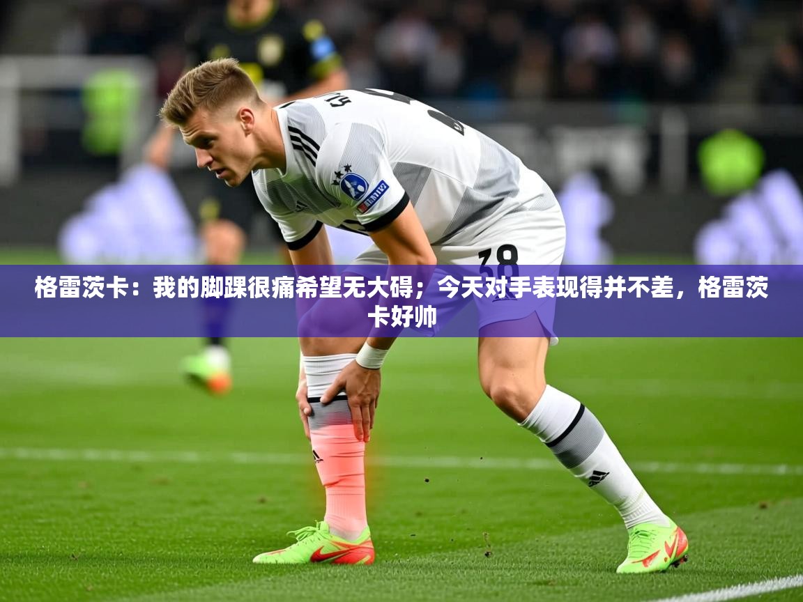 2025澳亚国际app格雷茨卡:我的脚踝很痛希望无大碍;今天对手表现得并不差,格雷茨卡好帅 第3张