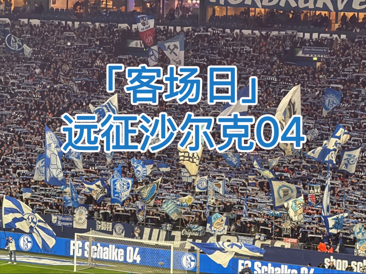 关于沙尔克客场比赛稳健取胜，队员团结合力胜利在握的信息
